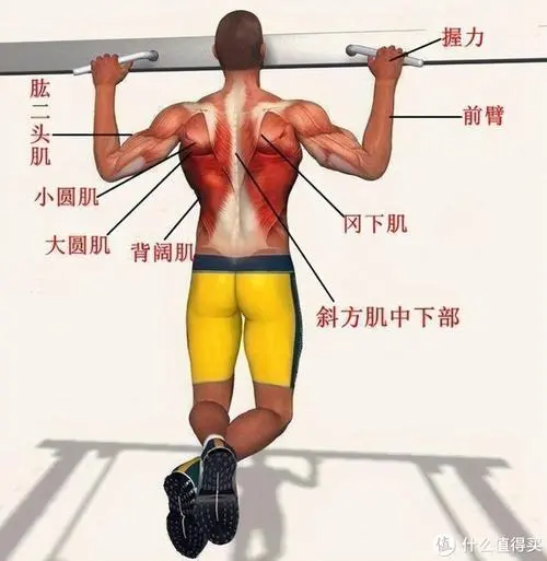 <strong>天博体育官方平台入口：龙迪曼网球拍怎么样</strong>